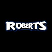 Product - Roberts Auto Electronics & Window Tint - United States