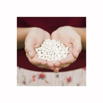 Premium white kidney beans in stock for bulk purchase with inter-national shipping - Medcompex Gmbh - United Kingdom