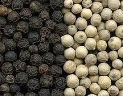 Black/white Pepper 550Gl/ 500Gl Black Pepper Grade AA Place of Origin - Thai Agri Company - Thailand