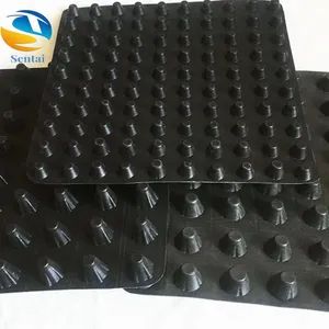Green HDPE Drainage Board for Roof Garden Engineering, Concave Convex Drainage Board Manufacturer for Basement Garage - Dezhou Sentai Environmental Technology Company Limited - China