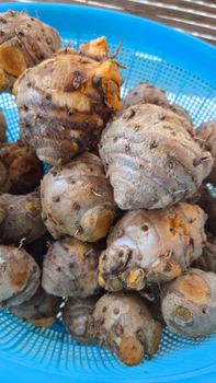 Javanese turmeric( curcuma xanthorriza ) - Solo Dagang Komoditi Indonesia - Indonesia