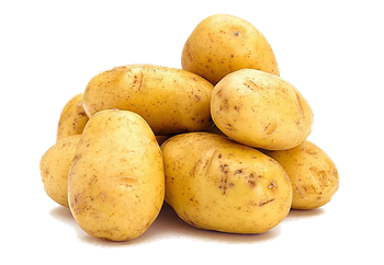 potato from Qingdao Zovica potato - Qingdao Zovica - China