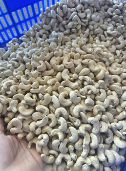 Cashews nuts from Viet Delta Industrial Co., Ltd. Cashews nuts - Viet Delta Industrial Co., Ltd. - Vietnam