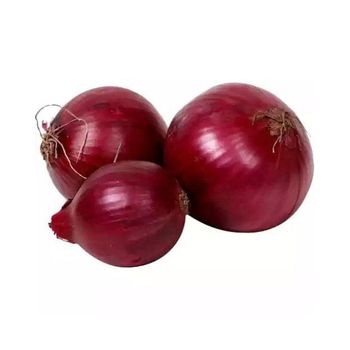 Red Onion best quality cheap price - HIGHPROFILE AGRICULTURE SERVICES LIMITED - Tanzania