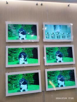 Hanging LCD Display Advertising Digital Signage Wall Mounted Marketing Screen Boards Indoor (Optional 7"--32") - AIYOS Technology Co., Ltd. - China