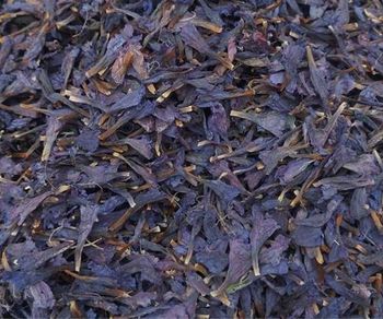Persian dried Borage Flower premium - Naseeb Ullah - Pakistan