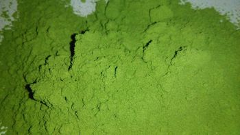 Dried Moringa Powder - svm organics pvt ltd - India