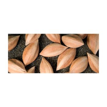 Wholesale pili nuts bulk supply cheap price fresh quality exporter - AMAC GOLD AND DIAMOND METALS SUPPLIER - Germany