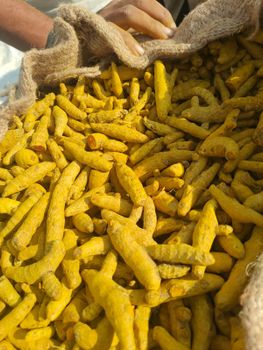 Turmeric Finger – product photo, Dried Turmeric Finger products found from trusted suppliers, wholesalers, manufacturers & exporters Listing