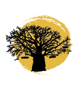 Organic and Conventional Honey Origin Tanzania Honey Type Blossom Honey - Grand Botanicals Limited - Tanzania