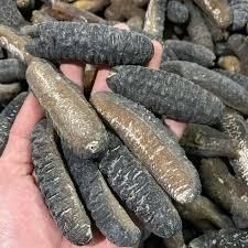 Dried Sea Cucumber Style Dried Packaging Bag Grade Top Grade Origin Thailand Shelf Life 2 Years Brand Name Viet Delta Mi - Thai Agri Company - Thailand