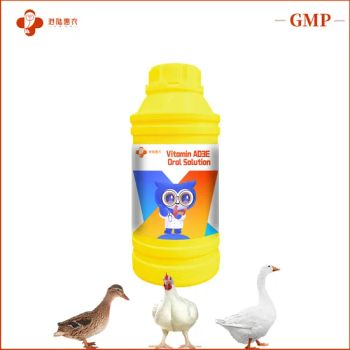 Custom Logo Veterinary Medical Vet Medicine Vitamin Ad3e Oral Solution Veterinary Poultry Medicines for Cattle Sheep Pig Poultry Dog - Shanghai Ganglu Huinong Biotechnology Co., Ltd. - China