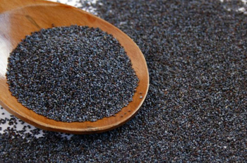 Top Selling Wholesale Poppy Seeds Premium Quality Food Grade Bulk Supply Ready to Ship Export Manufacturer from Njang Investments Limited Top Selling Wholesale Poppy Seeds Premium Quality Food Grade Bulk Supply Ready to Ship Export Manufacturer - Njang Investments Limited - Kenya