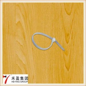 Clamp Ties; Moutable Head Nylon Cable Ties - Jiangxi Heying Technology Co., Ltd. - China