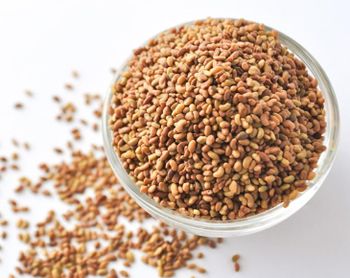 Alfalfa Seeds for Sprouting from Njang Investments Limited Alfalfa Seeds for Sprouting - Njang Investments Limited - Kenya