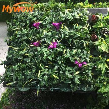 Hot Sale Living Vertical Garden Green Plants Wall for Outdoor and Interior Usage - Guangzhou MyWow Decor Co., Ltd - China