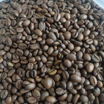 Farm Selected Robusta Coffee Bean 98% Purity Assured Robusta Coffee Bean For Professional Roasting Companies - malter group - Tanzania