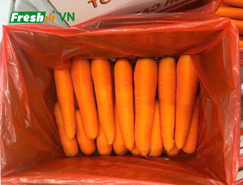 Fresh Carrot Organic Yes Shape Uniform Freshness Level Fresh Certification Phytosanitary Color Bright natural orange, Orange - AGRO VIET NAM AGENT - Vietnam