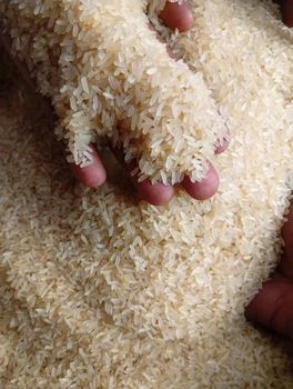Rice - Precious enterprises  - Nigeria