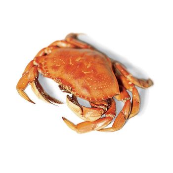 Premium Frozen Crab High Quality Fresh Seafood Vacuum Packed Rich in Protein Ideal for Restaurants and Export - PILOTEXPORT IMPORT AND EXPORT LTD - South Africa