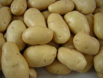 Potato (Diamond) - Pact & Agro - Bangladesh