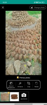 Cow dung products - Rishi enterprises - India