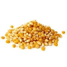 Quality Popcorn Kernel - Chezlynne Trading (Pty) Ltd  - South Africa