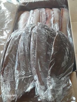TONGUE SOLES - Scientific name Cynoglossidae Size 300 GR+ Form Whole Round Origin Mauritania Quality Good quality Packing Quantity 20 Kg - asmakfish - Mauritania