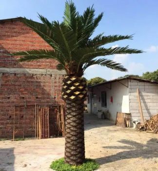 China Customized Artificial Plant Date Palm Tree Indoor Outdoor Decor - Guangzhou Junpeng Artificial Craft Company Limited - China