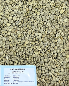 Laos Arabica Grade 1, Screen 16 18, Fully-Washed - Tin Thanh Dat Joint Stock Company (TTD) - Vietnam