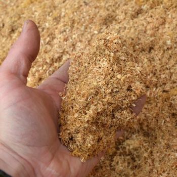 Premium Saw Dust For Sale Fine Clean Dry Wood Powder Ideal For Animal Bedding Fuel And Industrial Use Buy Now Fast Delivery Available Premium Quality Guaranteed - wood traders - Poland