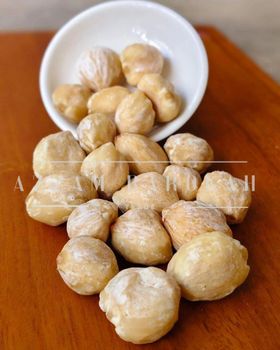 Candlenut Premium Grade Type FOB Size 15-20 mm Grade A Premium Max. Moisture (%) 6 Shape Whole candlenut Packaging Sealed vacum - PT AZZAM BAROKAH TRADE - Indonesia
