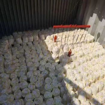Quick Shipment Hot Sale Magnesium Oxide/Magnesium Oxide Light CAS No. 1309-48-4 - Qingdao Sincere Chemical Co., Ltd. - China