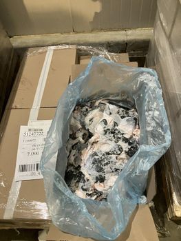 Frozen salmon skin - Paris Foods - France