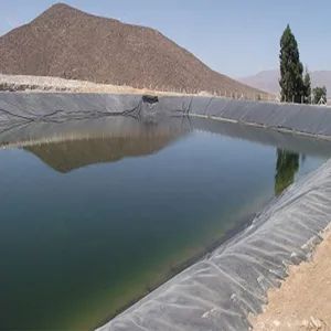 Anti-Seepage 0.75mm Fish Farm Pond Liner 0.5mm Waterproof HDPE Geomembrane Manufacturer - Anhui Zhonglu Engineering Materials Co., Ltd. - China
