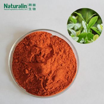 Green Tea Extract from Naturalin Bio-Resources Co , Ltd Green Tea Extract - Naturalin Bio-Resources Co , Ltd - China