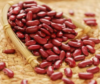 Organic Red/Light Speckled Kidney Beans Purity ≥ 98% Texture Firm Admixture ≤ 1% Moisture Content ≤ 14% Shelf Life 12–18 - Pop Sponge Fiber Ltd - Nigeria