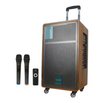 Factory Supply 12 Inch Wooden Speaker 100 RMS with Tws DSP Adjustable Wireless Microhphone - Guangzhou Haoshidai Electric Appliance Co., Ltd. - China