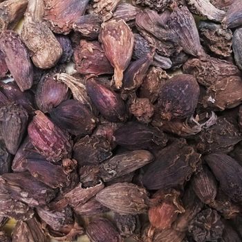 High Quality Black Cardamom Exporters Bulk Cardamom Seeds Premium Aroma And Natural Spice For Global Buyers - THE GREEN INTERNATIONAL LIMITED - Tanzania