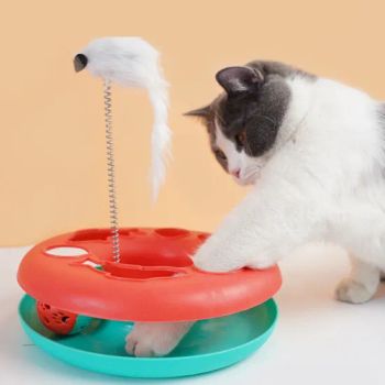 Interactive Kitten Toys Roller Tracks with Catnip Spring Pet Toy with Exercise Balls Teaser Mouse - GOOD SELLER CO., LTD. - China