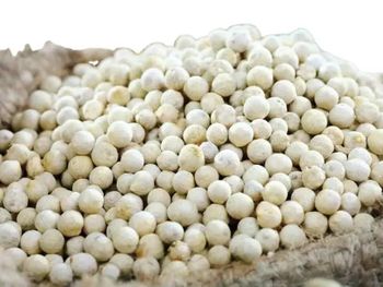 Vietnamese Origin White Pepper Seed Manufacture Single Spices & Herbs Product - AL JABLI TRADING COMPANY LIMITED - Tanzania