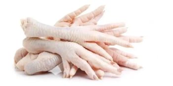 Premium Chicken Feet – Natural Protein-Rich Ingredient for Pet Food, Broth & Culinary Uses - UMGS GROUP PTY LTD - South Africa
