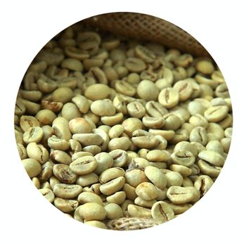 Premium Green Bean Robusta Coffee Export Supply With Washed Processing And Vacuum Packed Bags For Import Buyers from malter group Premium Green Bean Robusta Coffee Export Supply With Washed Processing And Vacuum Packed Bags For Import Buyers - malter group - Tanzania