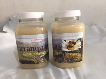 Natural Organic Honey.Mexico - piel Alpha SA de CV - Mexico