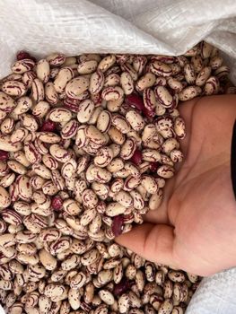 Red speckled sugar beans from Eco Xtreme Corporation Red speckled sugar beans - Eco Xtreme Corporation - South Africa