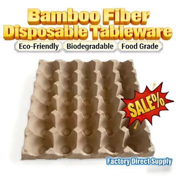 Disposable Egg Trays Cartons Trays Paper Bamboo Fiber Recyclable Sustainable Packaging Desechables Biodegradable Disposable Egg Tray Chicken Egg Cartons - Hainan Zhenjing International Trade Co., Ltd. - China