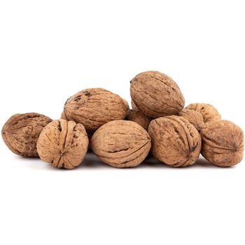 High Quality Walnuts Bulk Supply Fresh Natural Snack Wholesale Perfect for Bakery Confectionery and Cooking - PILOTEXPORT IMPORT AND EXPORT LTD - South Africa