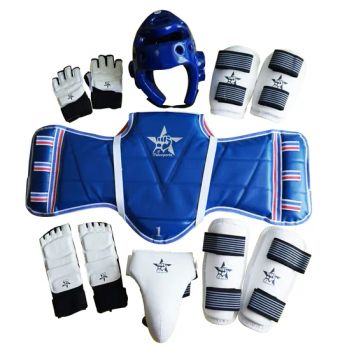Martial Arts Training Equipment, Taekwondo Wt Sparring Gear Set & Body Protector - Qingdao Tide Sports Products Co., Ltd. - China
