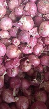 Onion