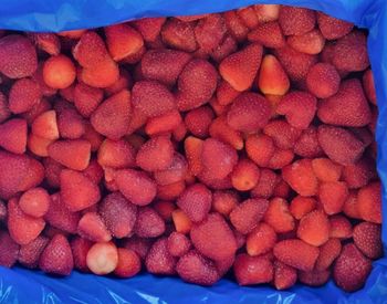 Frozen Strawberry Crop Year 2025 Color Deep Red Texture Consistent Brix Level 7% - 9% Purity Free From Mold Or Foreign - Holy Valley agro & global trade - Turkey